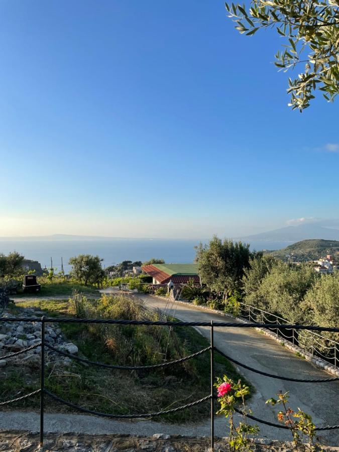 מסה לוברנסה Loren House, Relaxing Location With Seaview מראה חיצוני תמונה